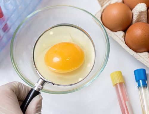 Days Eggs not affected by recent egg recall over salmonella outbreak